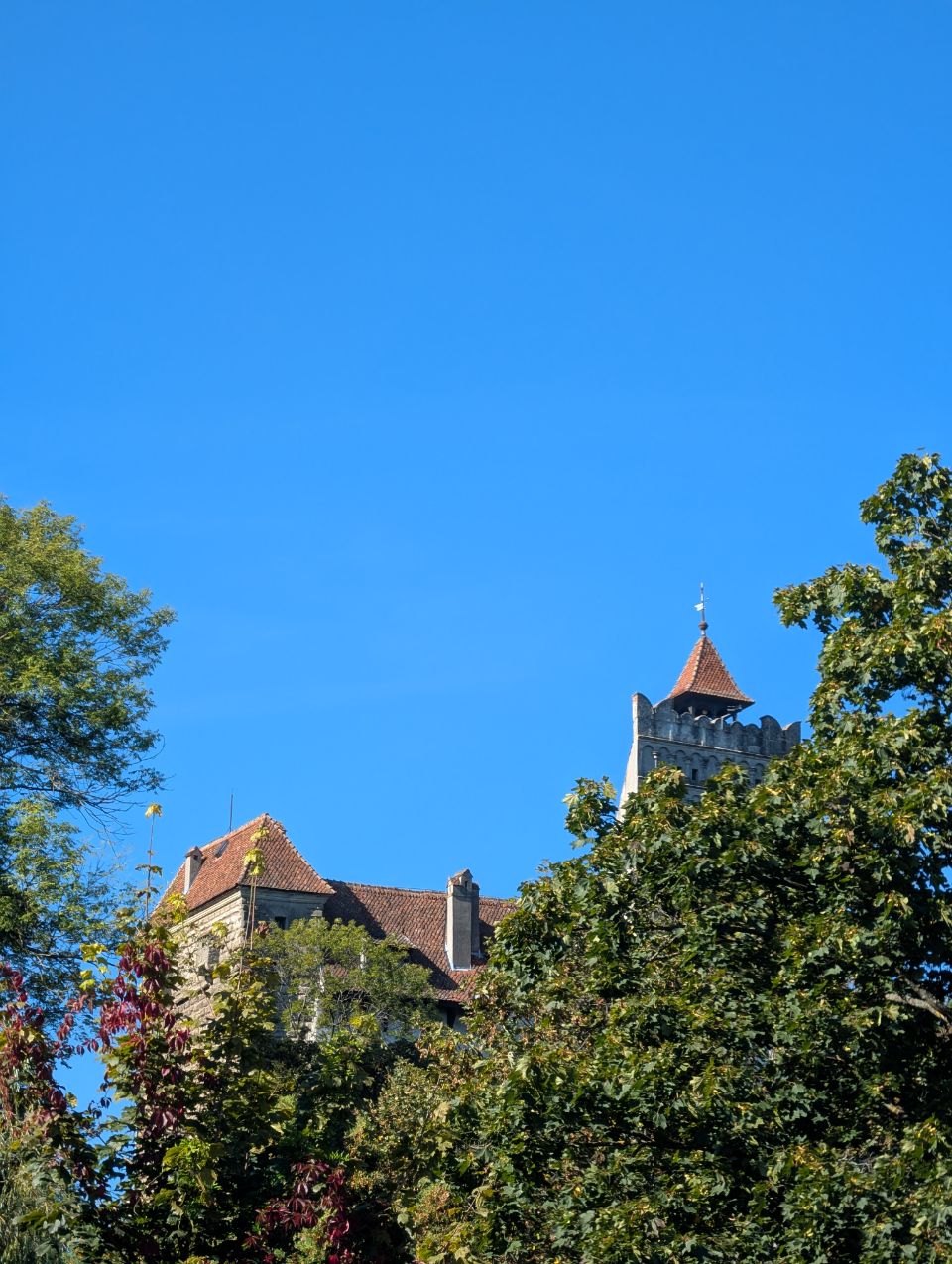 Bran castle