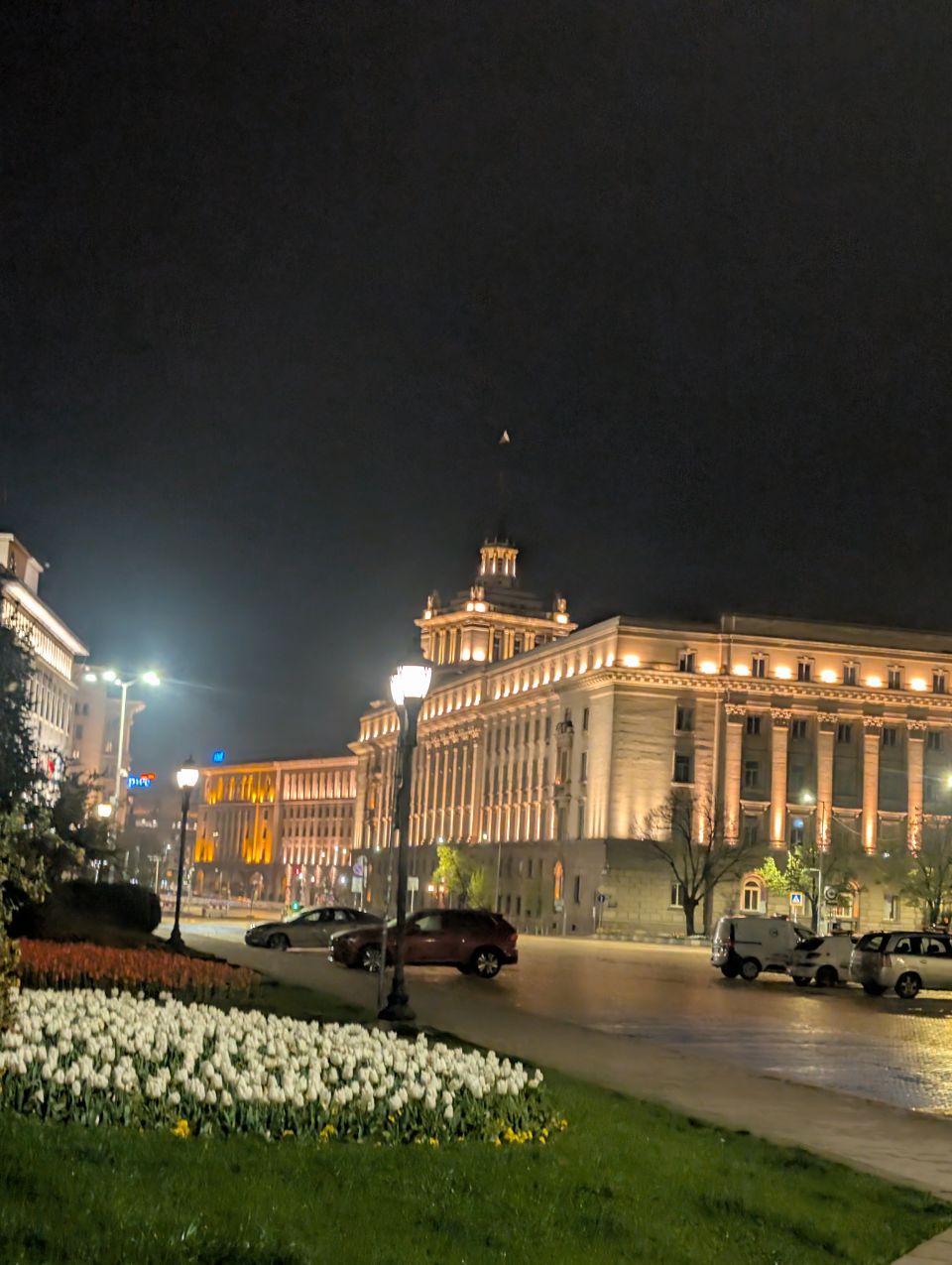 Sofia
