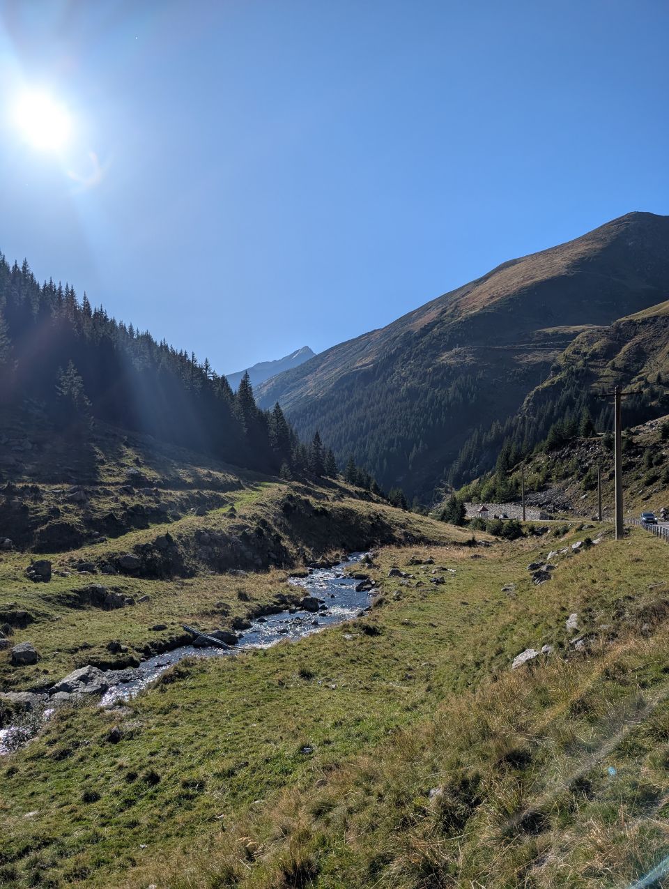 Cârțișoara