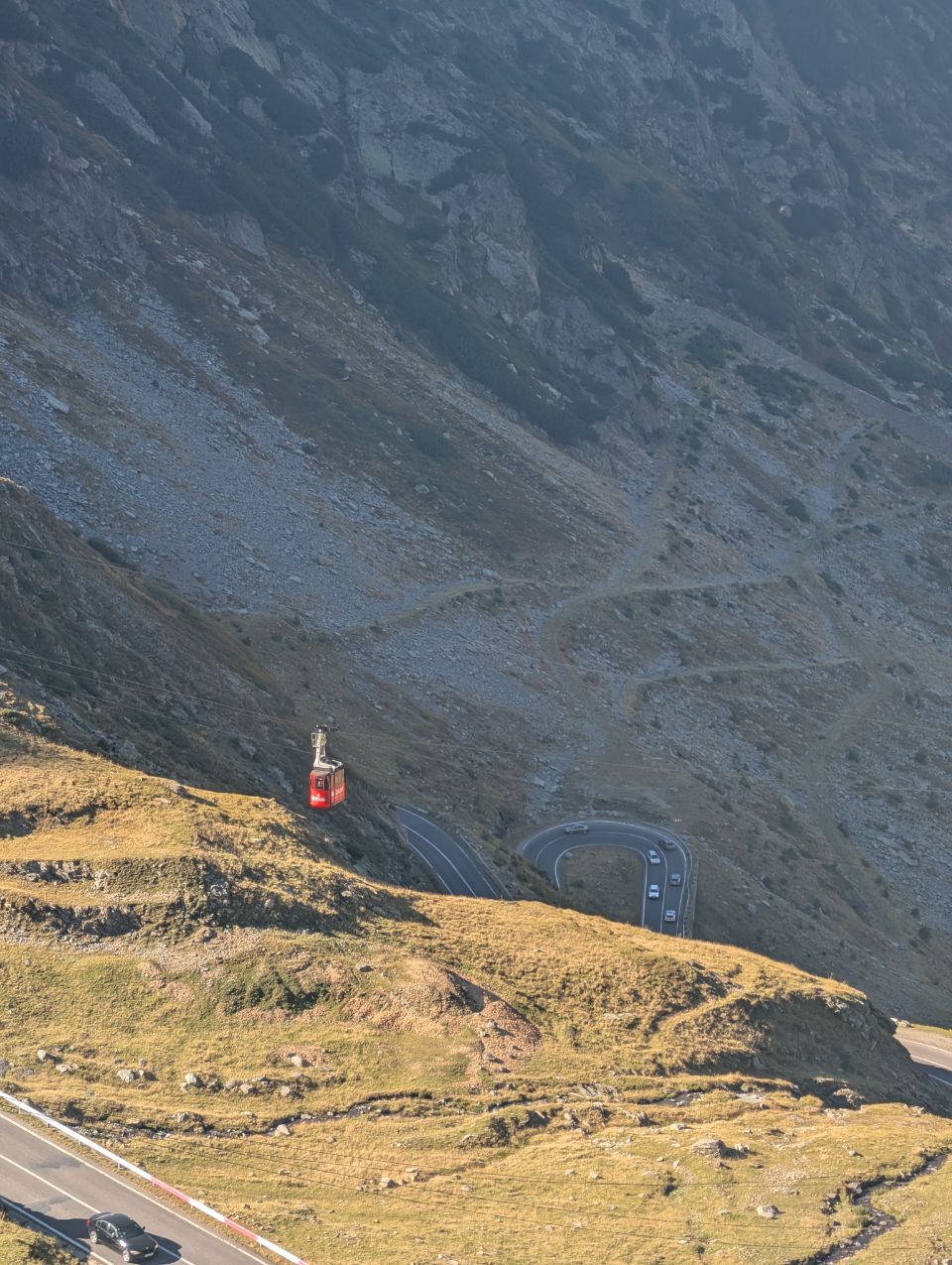 Cârțișoara