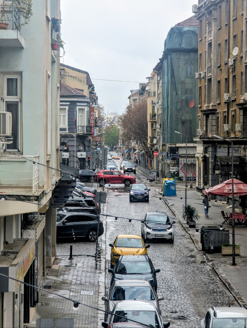 Sofia