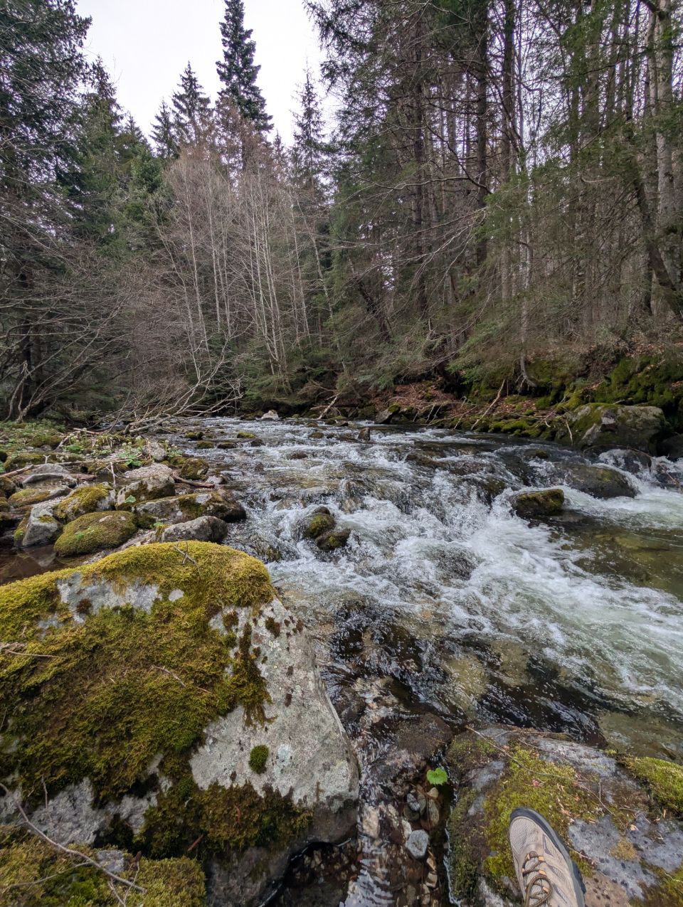 Natuur pauze