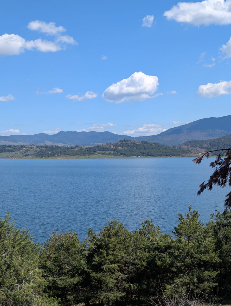 Rakitovo